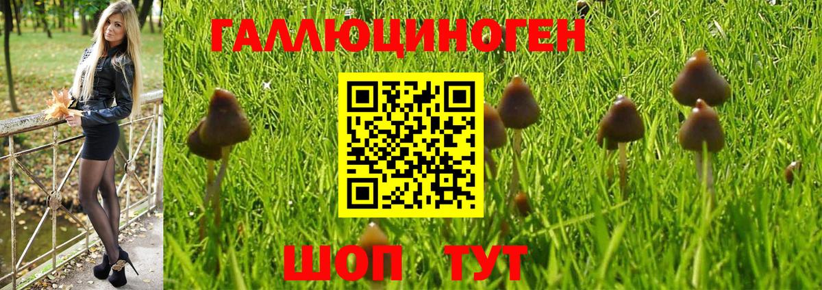 Вышний Волочёк  Галлюциногенные грибы Magic Shrooms  Вход с VPN 