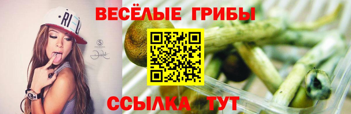 Псилоцибиновые грибы Magic Shrooms Вышний Волочёк